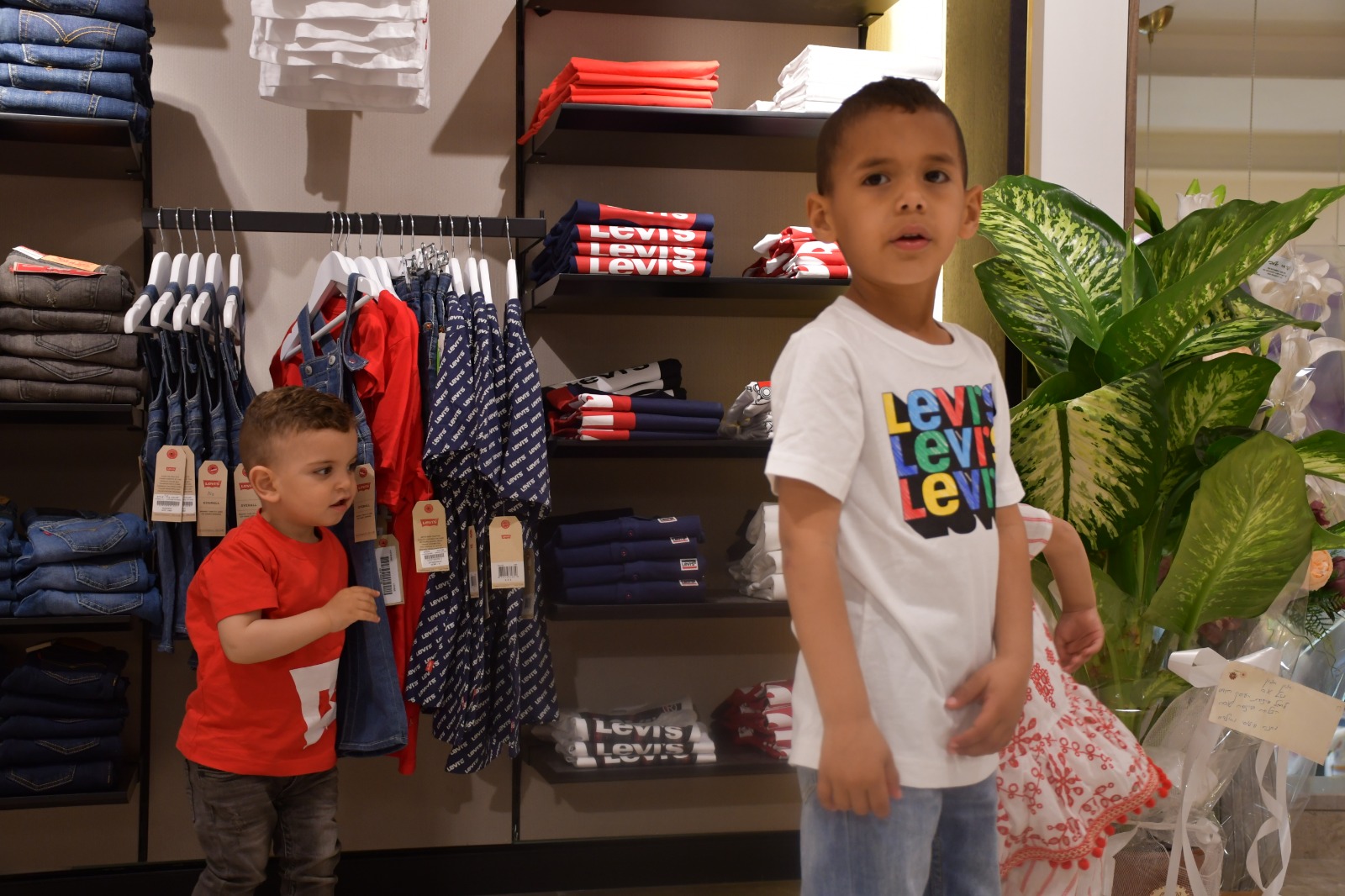 WhatsApp Image 2019-04-30 at 8.34.43 AM.jpeg.jpeg